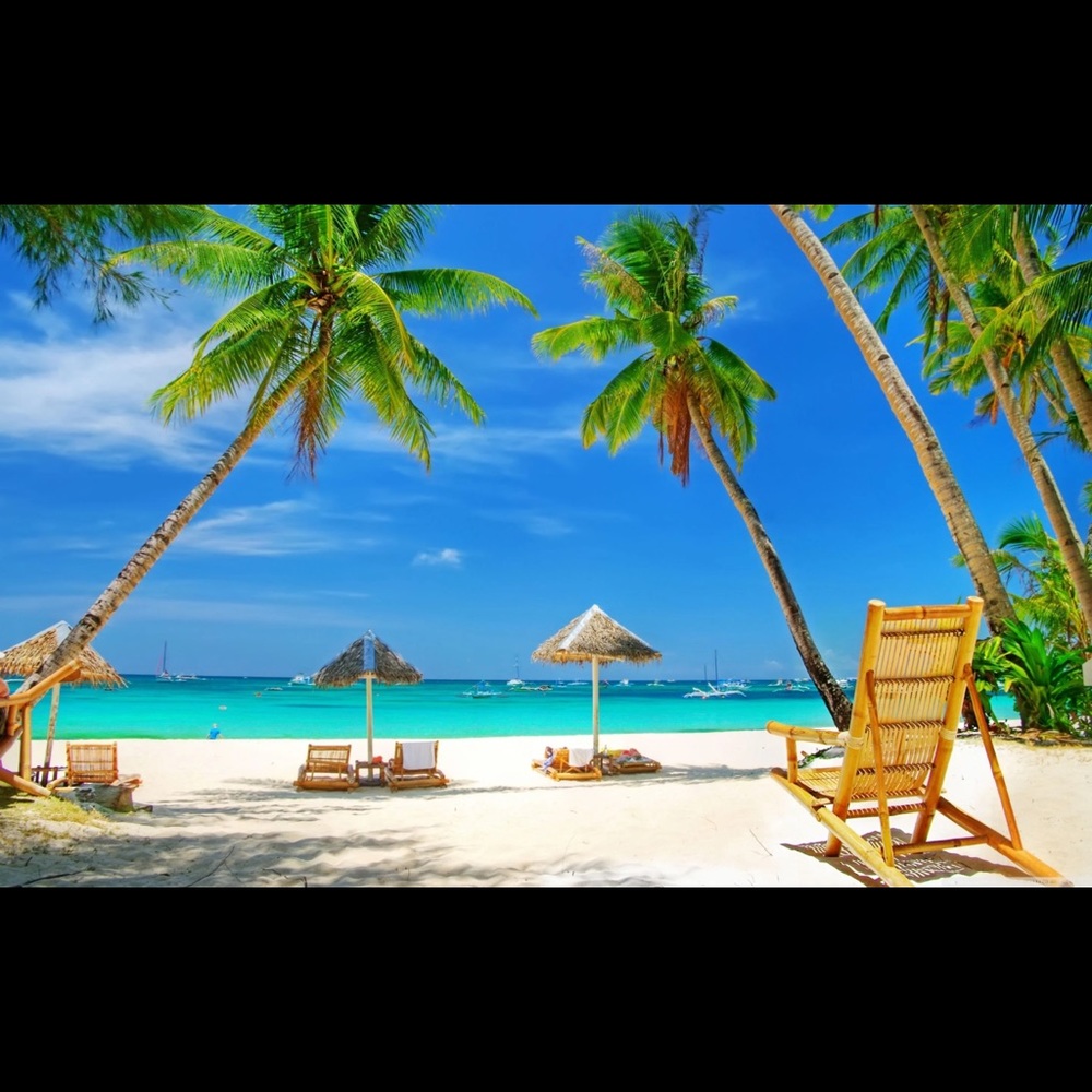 Meet your Posher, Dreaming in